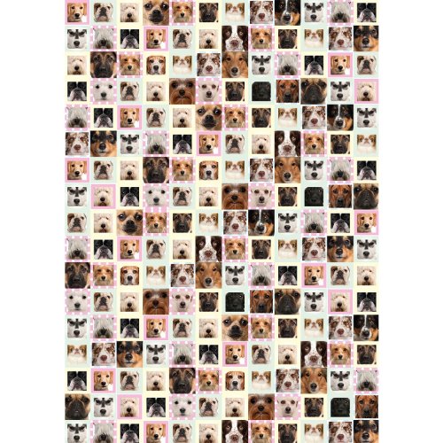 Extragifts Geschenkpapier - 1 Bogen Hunde Geschenkpapier Gallery Extragifts Geschenkpapier - 1 Bogen Hunde Geschenkpapier Gallery von extraZoo