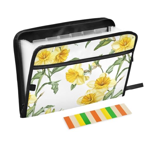 Akkordeon-Aktenordner mit Frühlingsblumen, Narzissen, Grau, A4-Größe, mit Reißverschluss, Fächermappe, Kunststoff, Fächermappe, Rechtsgröße, für Sozialarbeiter, Krankenpflege, Schule Akkordeon-Aktenordner mit Frühlingsblumen, Narzissen, Grau, A4-Größe, mit Reißverschluss, Fächermappe, Kunststoff, Fächermappe, Rechtsgröße, für Sozialarbeiter, Krankenpflege, Schule von famyily