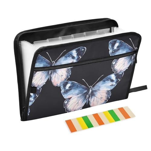 Fächermappe, A4-Format, erweiterbar, mit Reißverschlusstasche, Akkordean-Akkordean-Akkordean, mehrere Taschen, für Kinderkrankenschwestern, Arbeit Fächermappe, A4-Format, erweiterbar, mit Reißverschlusstasche, Akkordean-Akkordean-Akkordean, mehrere Taschen, für Kinderkrankenschwestern, Arbeit von famyily