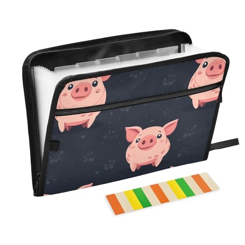 Happy Pig Akkordeon-Schnellhefter mit Reißverschluss, A4-Größe, Akkordeon-Aktenordner mit Reißverschluss, Monatsmappe, mehrere Taschen, für Krankenpflege, Studenten, Krankenhaus, Rosa von famyily