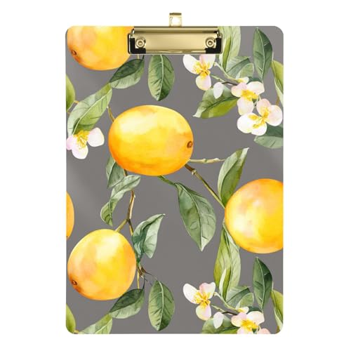 Marula Klemmbrett, legale Größe, Klemmbrett, coole Klemmbretter, Notiz-Klemmbrett für Physiotherapeuten, Arbeit, 31,8 x 22,9 cm, Grau Marula Klemmbrett, legale Größe, Klemmbrett, coole Klemmbretter, Notiz-Klemmbrett für Physiotherapeuten, Arbeit, 31,8 x 22,9 cm, Grau von famyily