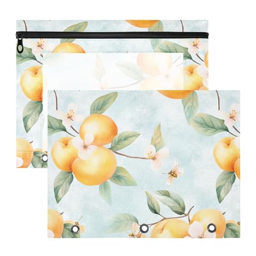 famyily Federmäppchen mit transparentem Fenster, 3 Löcher, Tasche für A4-Papier, Briefe, 2 Stück, Lehrer, Kunstbedarf, Aufbewahrung, niedliche Aprikose, Obst, Silber von famyily