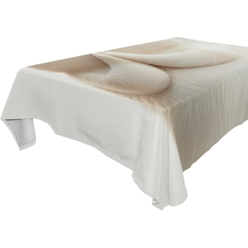 famyily Tischdecke mit niedlicher weißer Katze, abwischbar, für Küche und Esszimmer, Innenbereich, 1,8 m - 2,4 m, dekorative Buffets, Abendessen, Party, Tischdecke, 1 Stück, Größe 137 x 183 cm famyily Tischdecke mit niedlicher weißer Katze, abwischbar, für Küche und Esszimmer, Innenbereich, 1,8 m - 2,4 m, dekorative Buffets, Abendessen, Party, Tischdecke, 1 Stück, Größe 137 x 183 cm von famyily