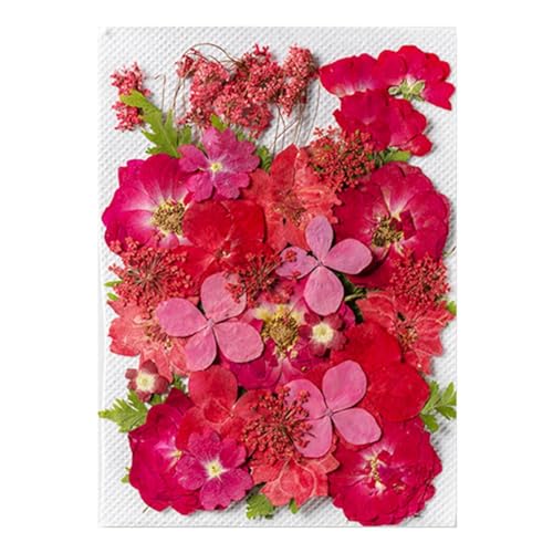 Blumenaufkleber für Journaling, 35 getrocknete Blumenaufkleber, ästhetische Pflanzenaufkleber für Journaling, Pflanzenaufkleber für Journaling, Scrapbook-Aufkleber und Zubehör für Tagebuch, Planer von fanelod