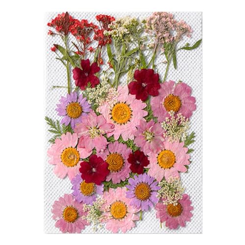 Blumenaufkleber für Journaling, 35 getrocknete Blumenaufkleber, ästhetische Pflanzenaufkleber für Journaling, Pflanzenaufkleber für Journaling, Scrapbook-Aufkleber und Zubehör für Tagebuch, Planer von fanelod