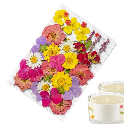 Blumenaufkleber für Journaling, 35 getrocknete Blumenaufkleber, ästhetische Pflanzenaufkleber für Journaling, Pflanzenaufkleber für Journaling, Scrapbook-Aufkleber und Zubehör für Tagebuch, Planer Blumenaufkleber für Journaling, 35 getrocknete Blumenaufkleber, ästhetische Pflanzenaufkleber für Journaling, Pflanzenaufkleber für Journaling, Scrapbook-Aufkleber und Zubehör für Tagebuch, Planer von fanelod
