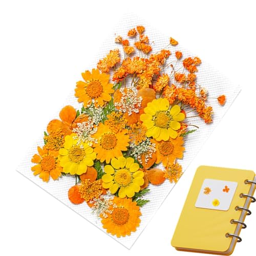 Blumenaufkleber für Journaling, 35 getrocknete Blumenaufkleber, ästhetische Pflanzenaufkleber für Journaling, Pflanzenaufkleber für Journaling, Scrapbook-Aufkleber und Zubehör für Tagebuch, Planer Blumenaufkleber für Journaling, 35 getrocknete Blumenaufkleber, ästhetische Pflanzenaufkleber für Journaling, Pflanzenaufkleber für Journaling, Scrapbook-Aufkleber und Zubehör für Tagebuch, Planer von fanelod