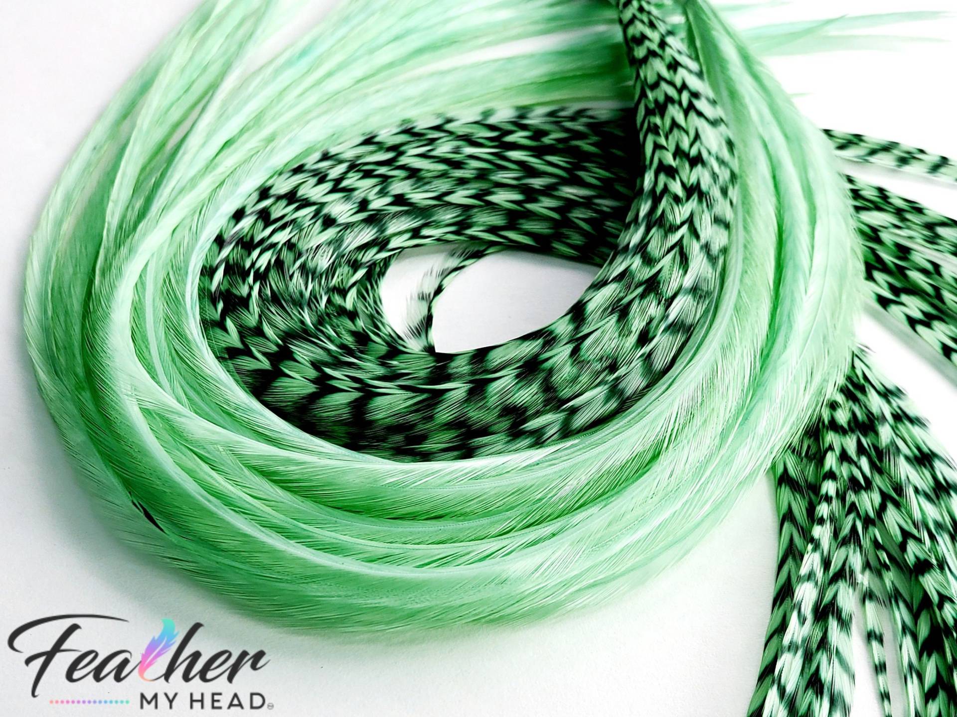 Helle Pastell Grüne Haar Feder Extensions. | 6 Federn. Lange Längen Über 40 cm Und Haarfeder-Kit Erhältlich von feathermyhead