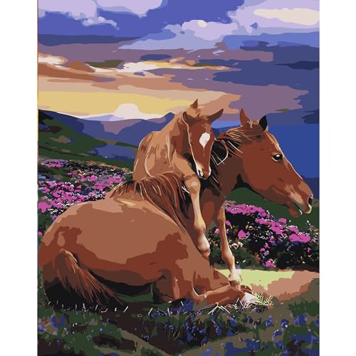 Pferd Malen nach Zahlen Erwachsene, DIY Handgemalt Ölgemälde Kit für Anfänger, Malen nach Zahlen Leinwand, Pinseln und Acrylfarbe für Home Wanddekoration 30x40cm Pferd Malen nach Zahlen Erwachsene, DIY Handgemalt Ölgemälde Kit für Anfänger, Malen nach Zahlen Leinwand, Pinseln und Acrylfarbe für Home Wanddekoration 30x40cm von feelive
