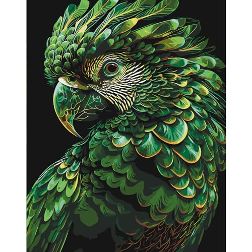 Vogel Malen nach Zahlen Erwachsene, DIY Handgemalt Ölgemälde Kit für Anfänger, Malen nach Zahlen Leinwand, Pinseln und Acrylfarbe für Home Wanddekoration 30x40cm Vogel Malen nach Zahlen Erwachsene, DIY Handgemalt Ölgemälde Kit für Anfänger, Malen nach Zahlen Leinwand, Pinseln und Acrylfarbe für Home Wanddekoration 30x40cm von feelive