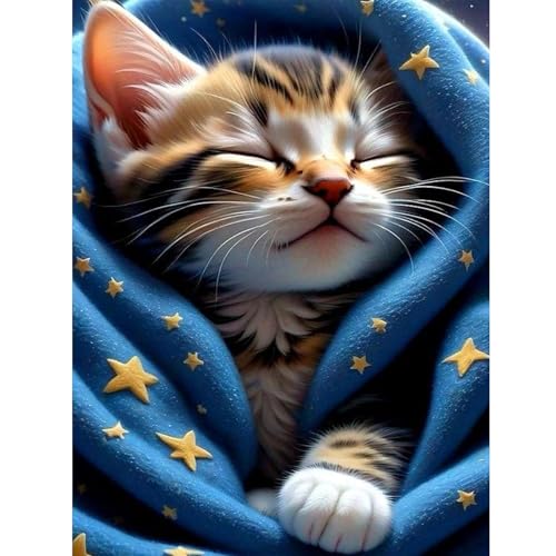 feelive Kat Diamond Painting Kits für Erwachsene, DIY Katze Diamant Painting Bilder für, Bausätze für Diamantmalerei 5D Runde Steine Diamant Painting für Zuhause Dekor 30x40cm feelive Kat Diamond Painting Kits für Erwachsene, DIY Katze Diamant Painting Bilder für, Bausätze für Diamantmalerei 5D Runde Steine Diamant Painting für Zuhause Dekor 30x40cm von feelive