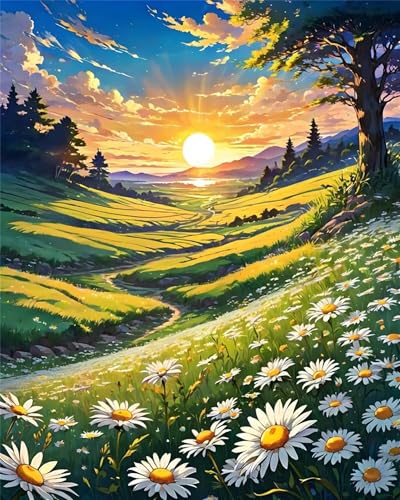 Malen Nach Zahlen Erwachsene,Handgemalt Malen Nach Zahlen für AnfÃnger,Feld Daisy Sonnenaufgang DIY Ölgemälde auf Leinwand Set,mit 3 Pinseln und Acrylfarben für Home Décor Ohne Rahmen,50x65cm von fghgbf