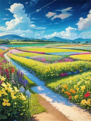 Malen Nach Zahlen Erwachsene,Handgemalt Malen Nach Zahlen für AnfÃnger,Feld Himmel Pfad DIY Ölgemälde auf Leinwand Set,mit 3 Pinseln und Acrylfarben für Home Décor mit Rahmen,60x75cm von fghgbf