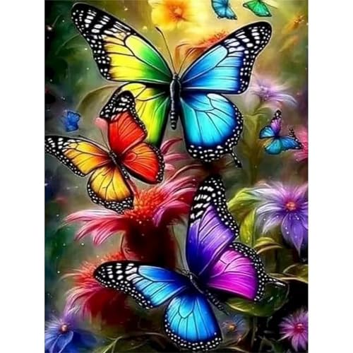 Malen Nach Zahlen Erwachsene Schmetterlings Gänseblümchen,DIY Handgemalt Ölmalerei Leinwand Kits,mit Pinseln Acrylpigment Paint by Numbers Ölmalerei Bastelset für Heimdekoration mit Rahmen,40x50cm Malen Nach Zahlen Erwachsene Schmetterlings Gänseblümchen,DIY Handgemalt Ölmalerei Leinwand Kits,mit Pinseln Acrylpigment Paint by Numbers Ölmalerei Bastelset für Heimdekoration mit Rahmen,40x50cm von fghgbf