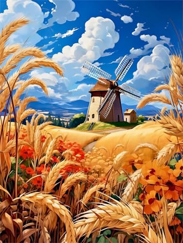 Paint by Number for Adult,Wheat Field Attic Sky DIY Oil Painting Kits on Canvas for Beginner,with Brushes and Acrylic Pigment,Paint by Numbers Arts and Crafts Kit for Home Decor with frame,50x65cm Paint by Number for Adult,Wheat Field Attic Sky DIY Oil Painting Kits on Canvas for Beginner,with Brushes and Acrylic Pigment,Paint by Numbers Arts and Crafts Kit for Home Decor with frame,50x65cm von fghgbf