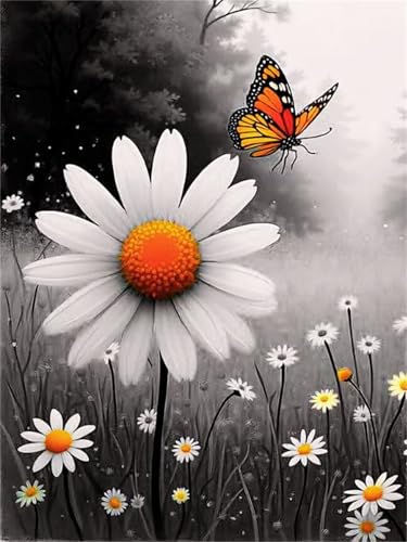 Paint by Number for Adult,White Daisy Butterfly DIY Oil Painting Kits on Canvas for Beginner,with Brushes and Acrylic Pigment,Paint by Numbers Arts and Crafts Kit for Home Decor with frame,50x65cm Paint by Number for Adult,White Daisy Butterfly DIY Oil Painting Kits on Canvas for Beginner,with Brushes and Acrylic Pigment,Paint by Numbers Arts and Crafts Kit for Home Decor with frame,50x65cm von fghgbf