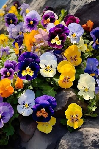Paint by Number for Adult,Yellow Purple Flowers DIY Oil Painting Kits on Canvas for Beginner,with Brushes and Acrylic Pigment,Paint by Numbers Arts and Crafts Kit for Home Decor with frame,60x90cm Paint by Number for Adult,Yellow Purple Flowers DIY Oil Painting Kits on Canvas for Beginner,with Brushes and Acrylic Pigment,Paint by Numbers Arts and Crafts Kit for Home Decor with frame,60x90cm von fghgbf