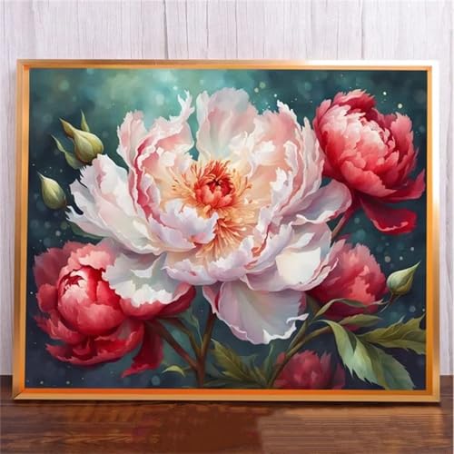 fghgbf 5D Peony Red White Diamond Painting Kits for Adults Beginners,DIY Round Full Drill Diamond Art Crystal Rhinestone Cross Stitch Painting by Numbers Picture for Home Wall Decor 100x130cm fghgbf 5D Peony Red White Diamond Painting Kits for Adults Beginners,DIY Round Full Drill Diamond Art Crystal Rhinestone Cross Stitch Painting by Numbers Picture for Home Wall Decor 100x130cm von fghgbf