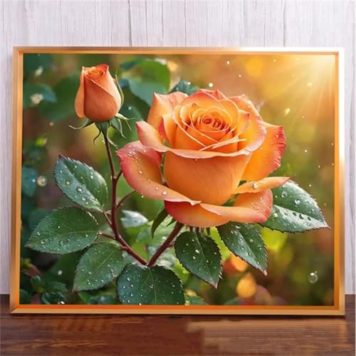fghgbf 5D Rose Sunshine Diamond Painting Kits for Adults Beginners,DIY Square Full Drill Diamond Art Crystal Rhinestone Cross Stitch Painting by Numbers Picture for Home Wall Decor 70x90cm von fghgbf