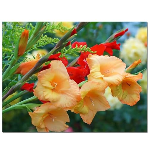 fghgbf Diamond Painting Erwachsene,Gelbe Blume Diamond Painting,Square Drill DIY Cross Stickerei Malerei Kits glänzende Diamantgemälde-Wanddekoration für Home Wanddeko 40x50cm von fghgbf