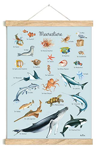 fioniony POSTER 50 x 70 cm MEERESTIERE BLAU UNGERAHMT OHNE HOLZLEISTE Tierposter Lernposter Schulanfang 1. Klasse Kinderposter Kinderzimmer Babyzimmer Wandbild Schule Kindergarten fioniony POSTER 50 x 70 cm MEERESTIERE BLAU UNGERAHMT OHNE HOLZLEISTE Tierposter Lernposter Schulanfang 1. Klasse Kinderposter Kinderzimmer Babyzimmer Wandbild Schule Kindergarten von fioniony