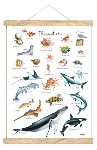 fioniony POSTER 50 x 70 cm MEERESTIERE WEIß UNGERAHMT OHNE HOLZLEISTE Tierposter Lernposter Schulanfang 1. Klasse Kinderposter Kinderzimmer Deko Geburt Babyzimmer Wandbild Schule Kindergarten von fioniony