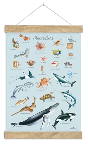 fioniony POSTER A4 MEERESTIERE BLAU UNGERAHMT OHNE HOLZLEISTE Tierposter Lernposter Schulanfang 1. Klasse Kinderposter Kinderzimmer Babyzimmer Wandbild Schule Kindergarten von fioniony