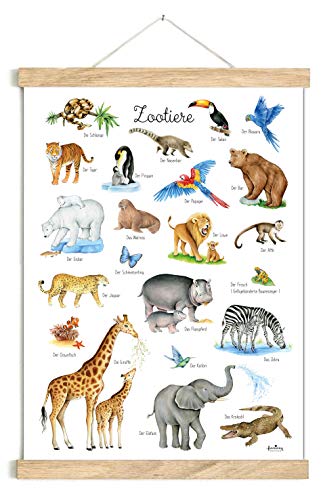 fioniony ZOOTIERE POSTER 50 x 70 cm UNGERAHMT OHNE HOLZLEISTE Tierposter Lernposter Schulanfang 1. Klasse Kinderzimmer Weihnachtsdeko Baby Bilder Zoo Wald Safari Afrika Kindergarten von fioniony