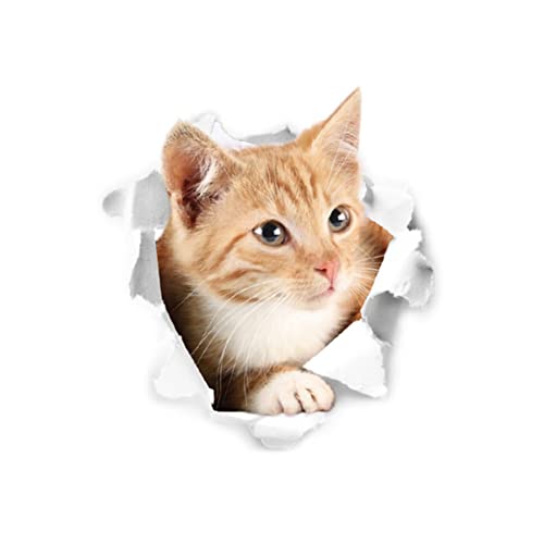 Wandaufkleber Real Life Grey Katze 3d Wandaufkleber Decal Mural gebrochenes Loch Tiere Katzen Vinyl PVC Dekoration Dekore für Wohnzimmer Heimkunst für Kinder Familien Kinderzimmer Kunst Wandbilder von fkngcp