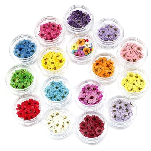 fkngcp Getrocknete Blumen Nagelkunst Scheiben Mini Natural Blumen Sternformen Nagelaufkleber Harzzubehör für Dekoration DIY Craft 16pcs fkngcp Getrocknete Blumen Nagelkunst Scheiben Mini Natural Blumen Sternformen Nagelaufkleber Harzzubehör für Dekoration DIY Craft 16pcs von fkngcp