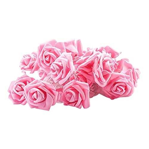 fkngcp Rose Blumenschnur Lichter Valentinstag 20 LEDs Romantische Blumenfee Licht (Keine Batterie) von fkngcp