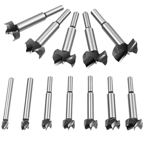 Flintronic Professional ForstnerBohrer, 12 Stück Forstner Bit, Cutter mit Rundschaft, Bohrer für Holz, Zubehör Bohrmaschine für Holzbearbeitung(10,12,15,18,20,22,25,26,28,30,32,35mm) von flintronic
