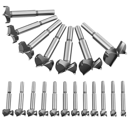 Flintronic Professional ForstnerBohrer, 19-tlg Forstner Bit(10-40mm), Set, Holzbohrer, Cutter mit Rundschaft, Bohrer für Holz, Zubehör Bohrmaschine für Holzbearbeitung von flintronic