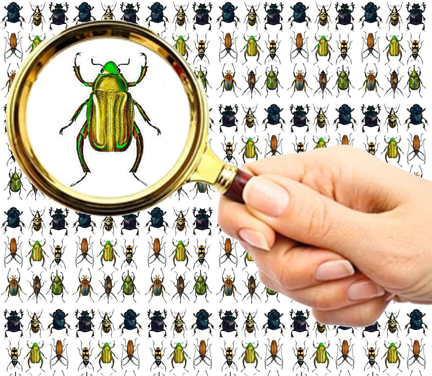 Nagel Aufkleber | 5 Blatt Creepy Crawly Bright Bugs & Beetles Flonz 101-207 von flonz