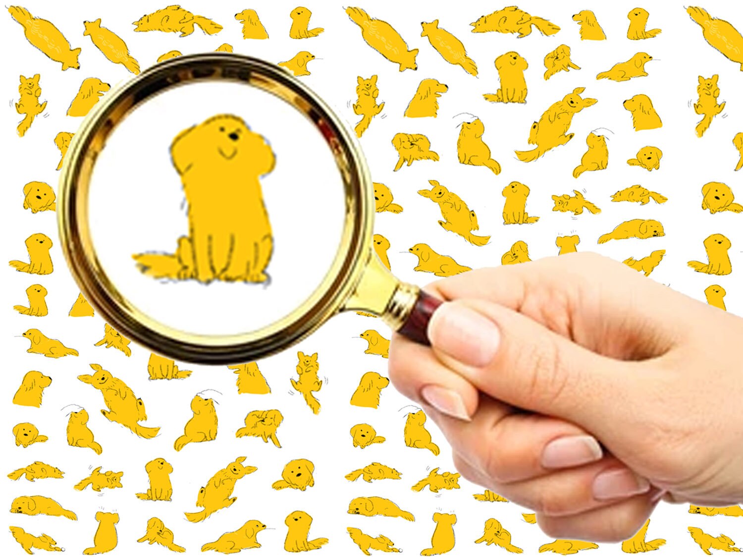 Nagel Aufkleber | 5 Blatt Süße Happy Sunshine Gelb Labrador Hunde Flonz 101-101 von flonz