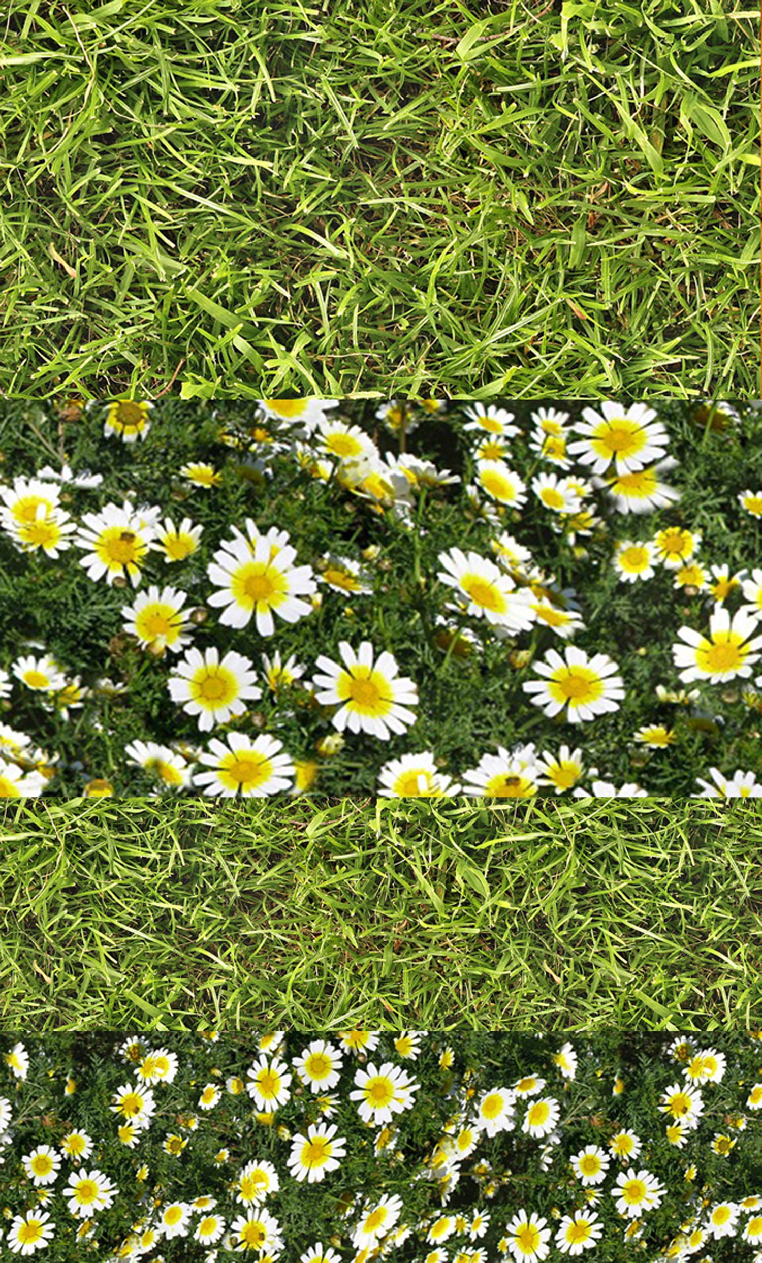 Nagelaufkleber | 5 Blatt Grünes Gras Und Niedliche Daisies Flonz 102-310 von flonz