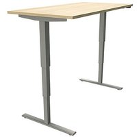 fm Sidney elektrisch höhenverstellbarer Schreibtisch königsahorn rechteckig, T-Fuß-Gestell silber 160,0 x 80,0 cm fm Sidney elektrisch höhenverstellbarer Schreibtisch königsahorn rechteckig, T-Fuß-Gestell silber 160,0 x 80,0 cm von fm