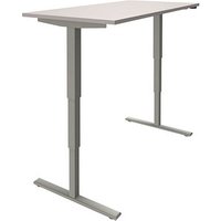 fm Sidney elektrisch höhenverstellbarer Schreibtisch lichtgrau rechteckig, T-Fuß-Gestell silber 160,0 x 80,0 cm fm Sidney elektrisch höhenverstellbarer Schreibtisch lichtgrau rechteckig, T-Fuß-Gestell silber 160,0 x 80,0 cm von fm