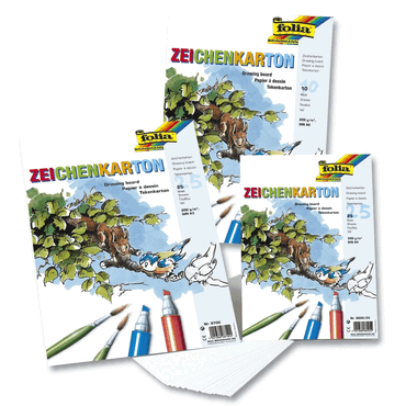 Folia Zeichenkarton 250 g/qm DIN A4 25 Blatt. von folia