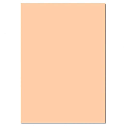 Fotokarton 300g/m² 25 Bogen (50x70cm), apricose, folia 61/25 42 von folia