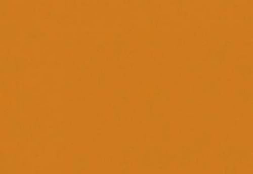 folia 6176 - Fotokarton Terracotta, 50 x 70 cm, 300 g/qm, 10 Bogen - zum Basteln und kreativen Gestalten von Karten, Fensterbildern und für Scrapbooking folia 6176 - Fotokarton Terracotta, 50 x 70 cm, 300 g/qm, 10 Bogen - zum Basteln und kreativen Gestalten von Karten, Fensterbildern und für Scrapbooking von folia