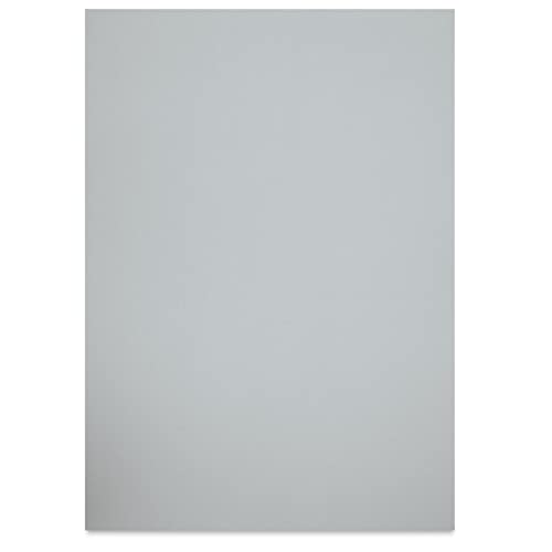 folia 6180 - Fotokarton Hellgrau, 50 x 70 cm, 300 g/qm, 10 Bogen - zum Basteln und kreativen Gestalten von Karten, Fensterbildern und für Scrapbooking folia 6180 - Fotokarton Hellgrau, 50 x 70 cm, 300 g/qm, 10 Bogen - zum Basteln und kreativen Gestalten von Karten, Fensterbildern und für Scrapbooking von folia