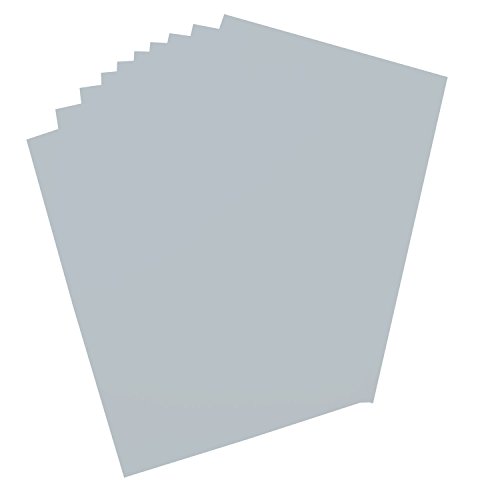 folia 65631 - Plakatkarton, ca. 48 x 68 cm, 10 Bögen, 380 g/qm, einseitig silber gefärbt - ideal zum Basteln oder Erstellen von Plakaten und Anzeigen folia 65631 - Plakatkarton, ca. 48 x 68 cm, 10 Bögen, 380 g/qm, einseitig silber gefärbt - ideal zum Basteln oder Erstellen von Plakaten und Anzeigen von folia