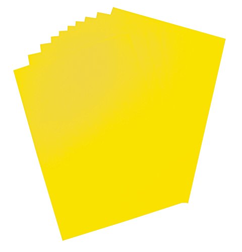 folia 65911 - Plakatkarton, ca. 48 x 68 cm, 10 Bögen, 380 g/qm, einseitig leuchtzitronengelb gefärbt - ideal zum Basteln oder Erstellen von Plakaten und Anzeigen folia 65911 - Plakatkarton, ca. 48 x 68 cm, 10 Bögen, 380 g/qm, einseitig leuchtzitronengelb gefärbt - ideal zum Basteln oder Erstellen von Plakaten und Anzeigen von folia