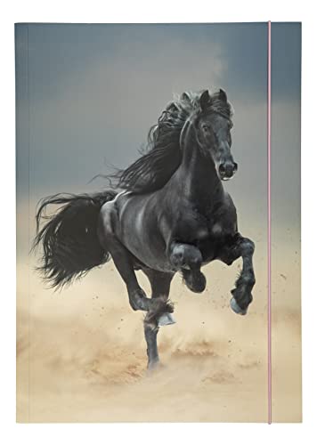 folia 69001 - Sammelmappe A3 Basic Black Horse, aus stabilem Karton mit Gummiband von folia