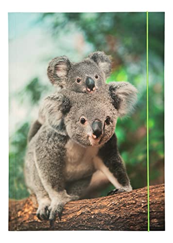folia 69003 - Sammelmappe A3 Basic Jungle Cuties, aus stabilem Karton mit Gummiband von folia
