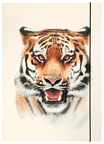 folia 69004 - Sammelmappe A3 Basic Roaring Tiger, aus stabilem Karton mit Gummiband von folia