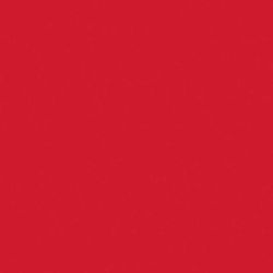 Fotokarton A4  300g/m² 50 Blatt von folia