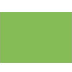 Tonzeichenpapier 50x70cm 130g/m² Tonzeichenpapier 50x70cm 130g/m² von folia