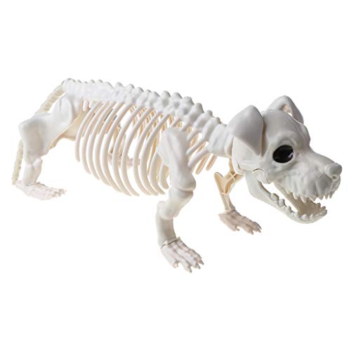 geneic Halloween-Motto-Party-Ornamente, gruselig, stehend, Skelett, Hund, schreckliches Spukhaus, Dekoration, Requisiten von geneic